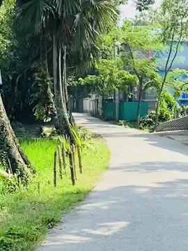 সকাল ৬ টা থেকে শুরু হয়🤣🤣