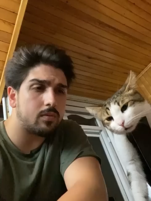 Galeride ki anlamsız videolar