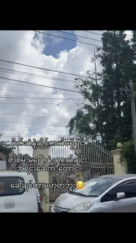ဘော်ဒါစိတ်ရှိတဲ့ကောင်တွေကသူ့ဘာသူရောက်လာတယ်#fypシ゚viral #brothers 