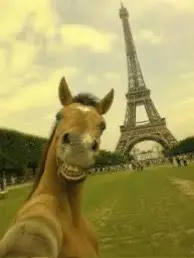 #horse #meme #cheeseburger#paris #ninjasinparis🥷🏼 