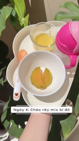Ăn dặm ngày thứ 4, nay em Gạo biết nuốt và ăn được 15ml rồi nhen 🤭🤭 #andamcungemgao #andam #hanhtrinhandamcuagao #hatgaonhohamy #xuh
