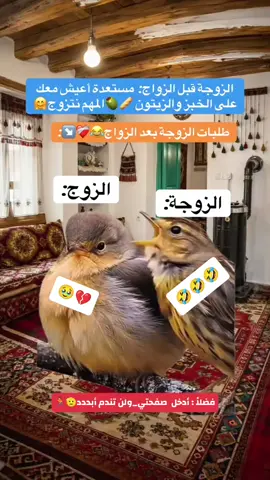 الزوج قبل الزواج: مستعد أعيش معك على الخبز والزيتون المهم تتزوجي 🥺❤️ طلبات الزواج بعد الزواج: 👩‍🍳😂 #الزوج #الزوجة #الحياة_الزوجية #نكت_متزوجين #ضحك 