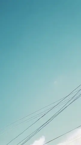 🤬🦅