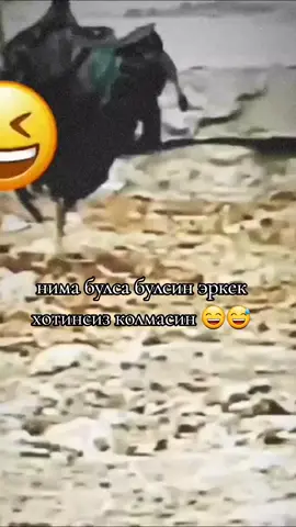 #😅 #🤭 