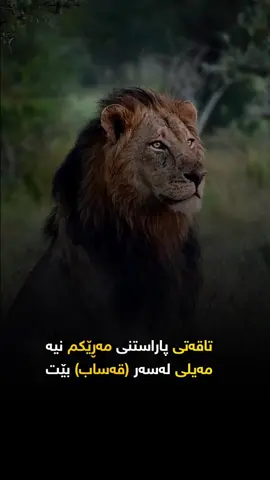#blackwsha 