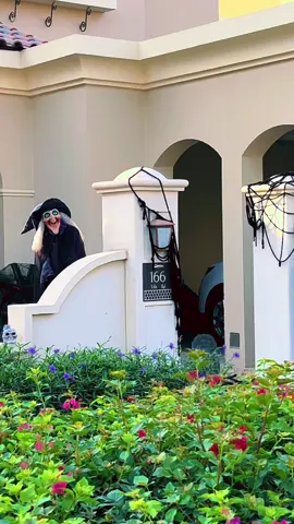 🤭🙄