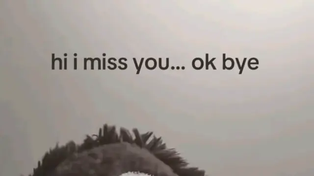 hi
