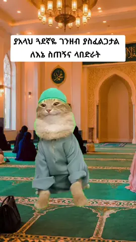 አሚንንን🤲🤲 