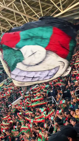 خباطو 🔨🇮🇹#حب_وعقلية💚❤ #mouloudia_virage_sud🇮🇹🙏 #mouloudia_1921❤💚 #foryou #الشعب_الصيني_ماله_حل😂😂 