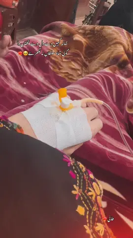 شالہ کہیں دے دل دے تختاں دا  کوئی شاہ سلطان نہ نکھڑے🥺❤️‍🔥@خانی #foryoupage #khani #saraikisong 