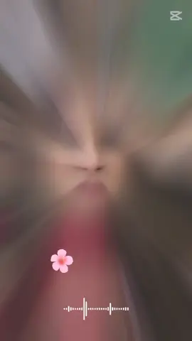 #CapCut 