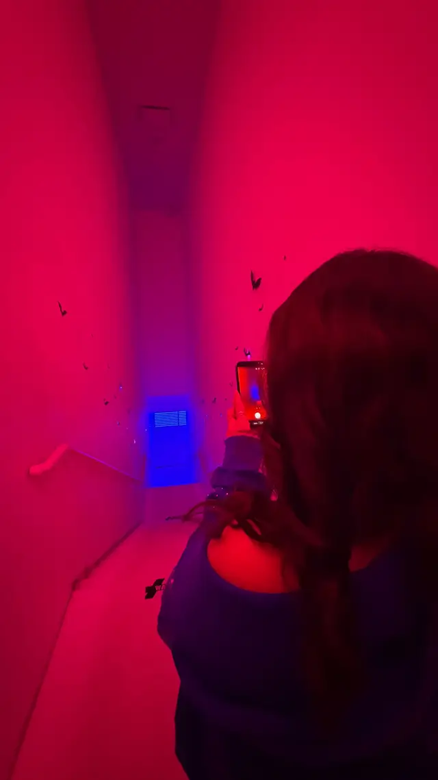 #tvgirl #fyp #targetaudience #museum #art 