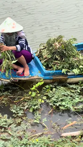 Rau nhúng đồng quá ngon luôn nè 