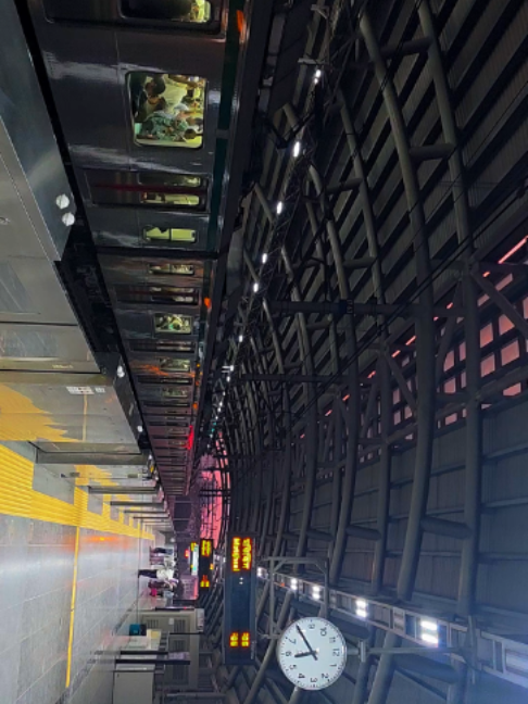 Metro😶‍🌫️👀 #1080p60fps #FPS #s25ultra 