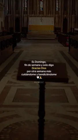 Es Domingo… #frases #fraseschingonas #paraestados #fyp 