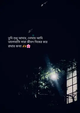 তুমি শুধু আমার, তোমায় আমি ভালোবাসি সারা জীবন নিজের করে রাখার জন্য! 🫶🌸 #said_status_07 #fypシ #foryou #unfreezemyacount #said___07 