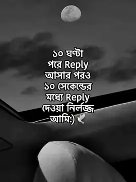 ১০ ঘণ্টা পরে Reply আসার পরও ১০ সেকেন্ডের মধ্যে Reply দেওয়া নির্লজ্জ আমি:)🕊️ #bdtiktokofficial🇧🇩  #foryou 