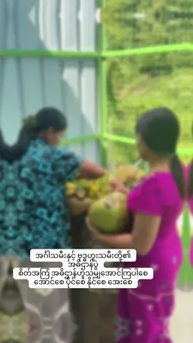 #SawNanNwe #မြွေမောင်နှမ🐍🐍 #ရေလိုအေး၍ပန်းလိုမွှေးပါစေ🌸🌸🌸🌸🌸🌸🌸🌸🌸🌸🌸 #ကာင်းကျိုးလိုရာဆန္ဒများပြည့်ဝကြပါ #လာဘ်လာဘပွင့်ကြပါစေ🙏🙏🙏 