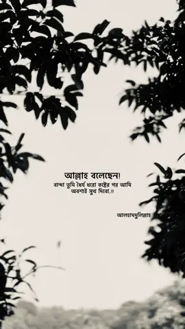 বান্দা তুমি ধৈর্য ধরো কষ্টের পর আমি অবশ্যই সুখ দিবো..!!#fypシ゚ #fypシ゚ #fppppppppppppppppppppppp #caption3456789 #100kviews 
