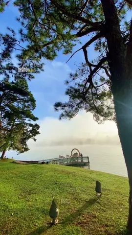 Chờ em  #thongdalat #dalat #thongvilladalat #thongvf3dalat 