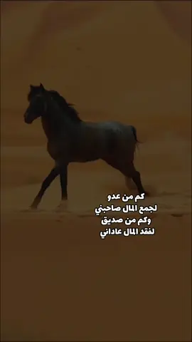 #السيره_الهلاليه #ابوزيدالهلالي #اكسبلور_explore #القناوي 