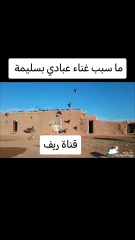 عبادي العماري#سليمة