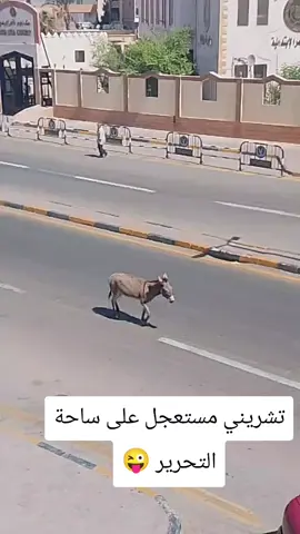 #تشريني مستعجل على ساحة التحرير