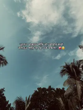 ভুলেও থাকতে পারি না, আবার কথা বলতেও পারি না কি এক যন্ত্রণা..!¡❤️‍🩹🥺  #sad #sadmood #emotional #banglacaption  #creatorsearchinsights 