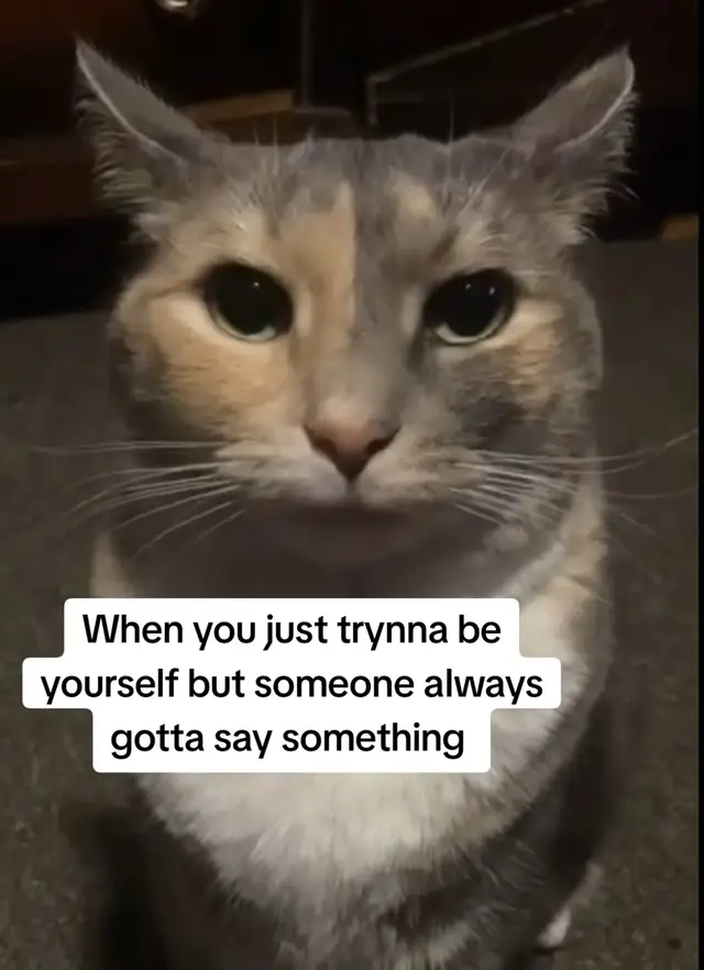 #fyp #vent #relateable 