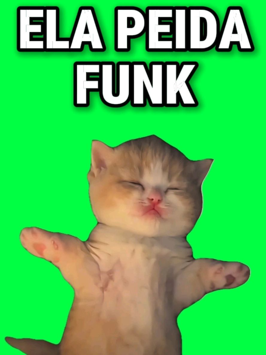 A cute little kitten from @tinyoddpets sings along and dances to “ELA PEIDA FUNK” by Dj v2be, DJ SMG, XSKAY11 & DJ Ilz, bouncing through the funky beat like this tiny cat has suddenly become the star of its own performance. The combination of an adorable kitten voice, animated dance moves, and the harder Brazilian funk-style rhythm makes the whole scene wonderfully ridiculous. The kitten doesn’t just dance in the background either—it looks fully committed to performing the track, adding plenty of personality as it sings and moves with the beat. That contrast between tiny, innocent-looking cat and high-energy funk makes this a fun pick for singing kitten videos, dancing cat memes, ELA PEIDA FUNK edits, and cute AI pet performances. Use this CapCut template… keep the singing kitten as the star, replace it with your own cat or another pet, swap in a favorite character, or put yourself into the performance and dance along to “ELA PEIDA FUNK.” #capcut #capcutpioneer #pioneertemplate #kitten  #elapeidafunk 