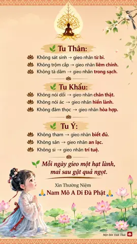 #motdoitinhthuc #loiphatday #phatphapnhiemmau #nammoadidaphat #xuhuong 