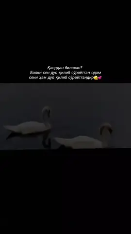🤍✨
