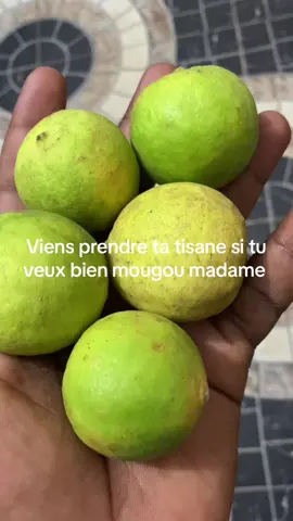 Contact le whatsap +229 66 94 65 47 pour suivre un bon traitement#pourtoi #fyp #fyppppppppppppppppppppppp #fypシ゚viral #fypシ 