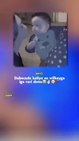 wax duxayo kudadal deenba halagugu lahde#😂😂 