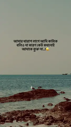 আমার খারাপ লাগে আমি কাউকে বলিও না কারণ কেউ কখনোই আমাকে বুঝে না@TikTok @TikTok Bangladesh 