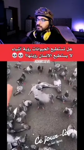 #cejour-là #fypシ゚viral__ #viral #explore 