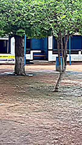 #baladweyne🌴💉💯❤️🙏🌴 #hiiraanstate🇸🇧🔥😗 @/AYUOP/🔥🚶🏻📸 sanad kaan meqad tahay 🫵🏽📸:school shiiq m.Macalin ✍🏻🏫