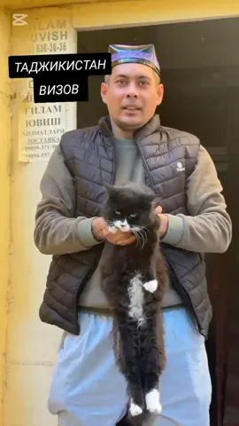 #UZBEKISTAN #таджкистан🇹🇯 BUNI KIM aytkan?? 