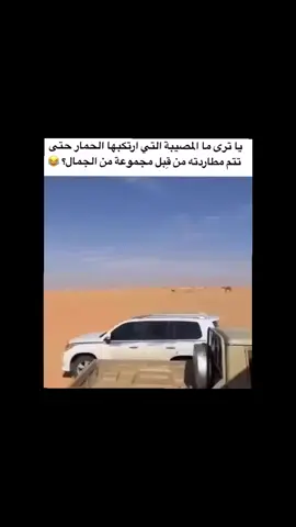 #foruyou #ضحك #fyp #الخليج #الشعب_الصيني_ماله_حل😂😂🏃🏻‍♀️ 