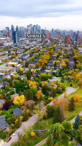 norwey maxa ka taqanaa..❓ #america🇺🇸 #canada_life🇨🇦 #California🇺🇲 #usa🇺🇸 #america🇺🇲 
