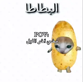 يعد برج المملكة واحداً من أبرز المعالم المعمارية في الرياض بشيء، ورمزاً حديثاً يعكس تطورالمملكة العربية السعودية ونهضتها العمرانية منذ افتتاحه، أصبح البرج وجهة رئيسية للسكان والزوار، ليس فقط لارتفاعه المميز بل أيضاً لما يقدمه من مرافق متنوعة وتجربة فريدة. تم افتتاح برج المملكة عام 2002، وهو مشروع تابع لشركة المملكة القابضة التي يملكها الأمير الوليد بن طلال. طابقاً، ما جعله لفترة طويلة أحد أطول المباني في الشرق الأوسط، تصميمه الفريد الذي يشبه فتحة القوس في أعلى عط أعلاه بيميزه عن بقية ناطحات السحاب، وقد صمد ليكون تحفة معمارية تجمع بين الحداثة والهوية المحلية. يضم البرج مجموعة واسعة من المرافق، منها مكاتب إدارية، وشقق سكنية فاخرة، بالإضافة إلى فندق فورسيزونز الرياض الذي يعد من أفخم الفنادق في المدينة. كما يحتوي على مركز تسوق ضخم يعرف باسم مملكة مول، ويضم العديد من العلامات التجاريه #explore #foryoupage #foryou #viral #fyp 