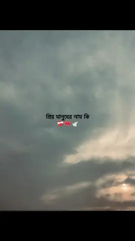 প্রিয় মানুষের নাম কি❤️‍🩹🎀🕊️#foryou #fypviral #quotes #creatorsearchinsights #fyp less
