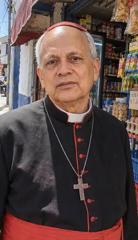 #papa #papaleon #papaleonxiv #oracion #catolicos