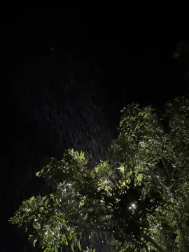 🌧️