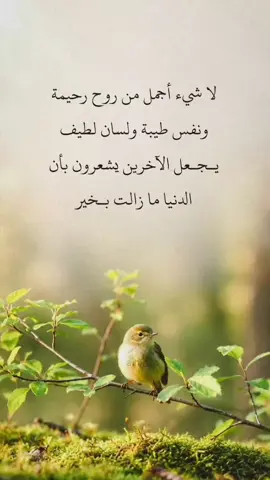 #اكسبلور #شعور #حب 