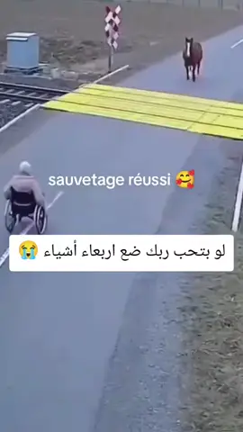 #مليون_مشاهدة❤ #اكتب_شيء_تؤجر_عليه🌿🕊 #لاتنسوا_لايك_ومتابعة #احترام_القرأن_تواني❤🤲🏼 