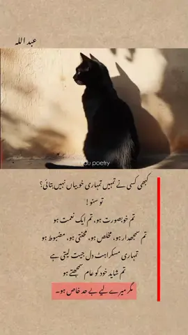 کبھی کسی نے تمہیں تمہاری خوبیاں نہیں بتائی؟ تو سنو! تم خوبصورت ہو، تم ایک نعمت ہو تم سمجھدار ہو، مخلص ہو، مہدی ہو مضبوط ہو تمہاری مسکراہٹ دل جیت لیتی ہے تم شاید خود کو عام سمجھتے ہو مگر میرے لیے بے حد خاص ہو۔ #foryou #astheticvideo #urdu poetry lines ✨ #unfreezemyaccount🙏🙏🙏🙏 