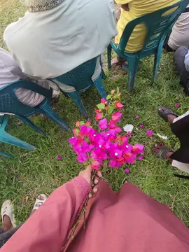 flower🌸