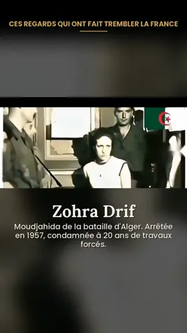 Ces regards qui ont fait trembler la France 🇩🇿 Zohra Drif, Yacef Saâdi, Larbi Ben M'hidi, Didouche Mourad, Hassiba Ben Bouali. Ils n'avaient que leur courage face à une armée entière. Ils n'ont jamais baissé les yeux. Gloire à nos martyrs. Tahya El Djazaïr. Sources en commentaire épinglé 📌 #algerie #algérie #dz #1novembre1954 #guerredalgerie          