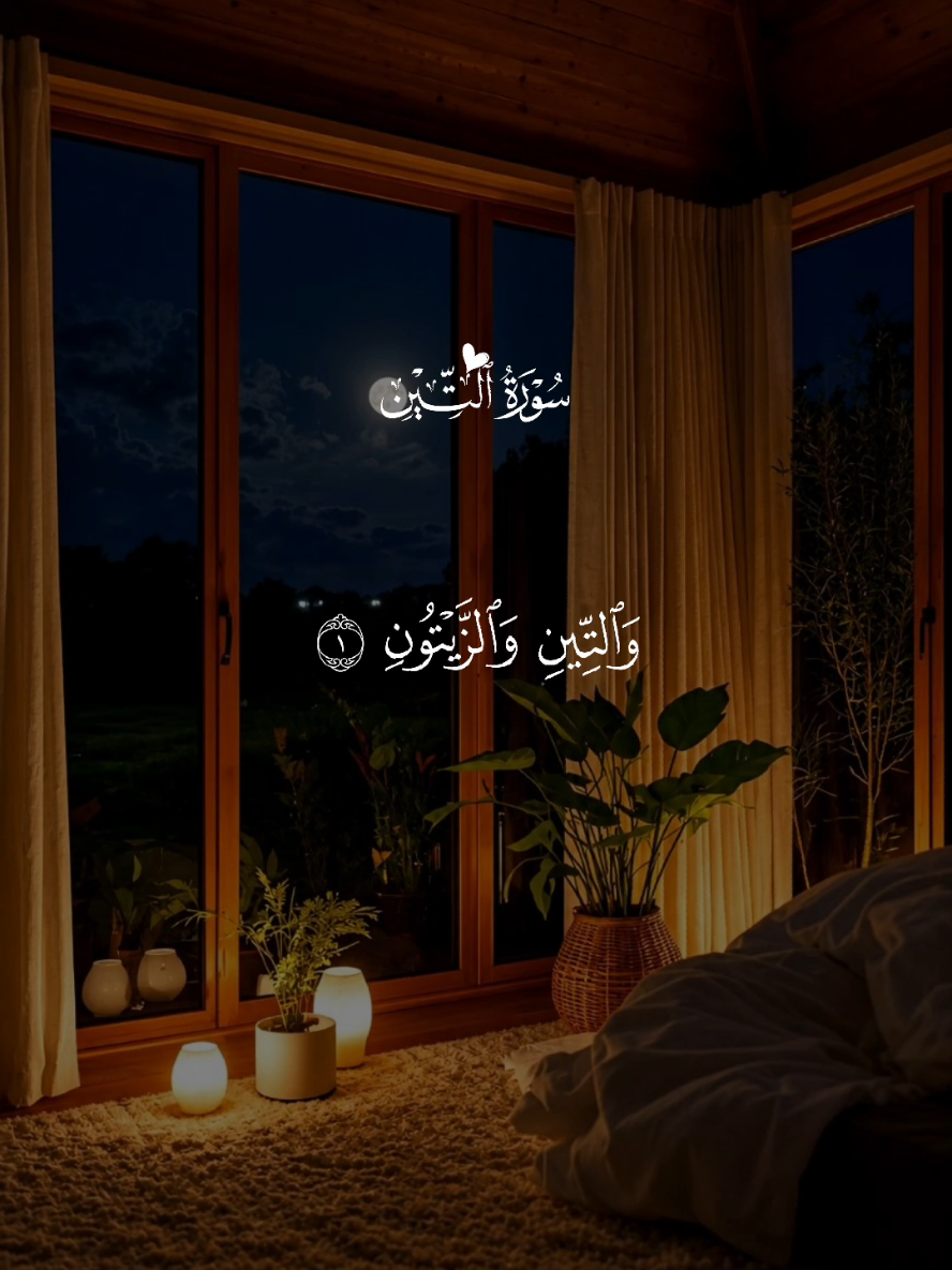سورة التين #قرأن_كريم_راحة_نفسية #alquraanalkarim06 #fyp #foryoupage 